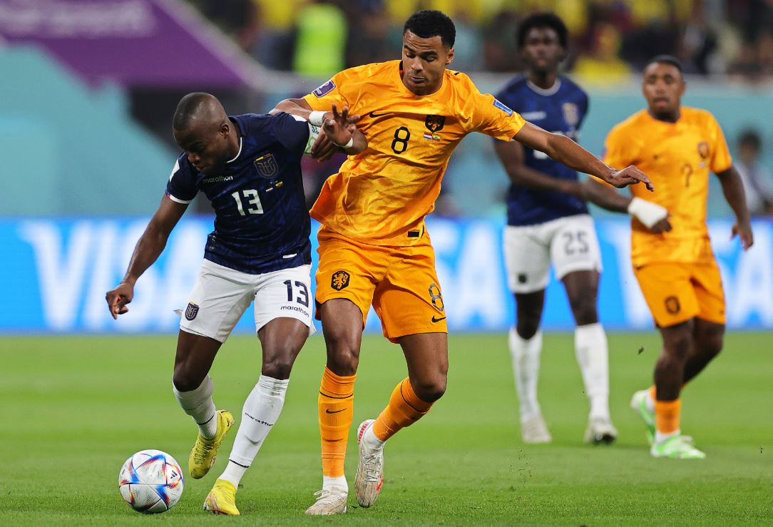 2022卡塔尔世界杯-世界杯A组小组赛荷兰vs厄瓜多尔直播-荷兰vs厄瓜多尔首发阵容-奥分体育